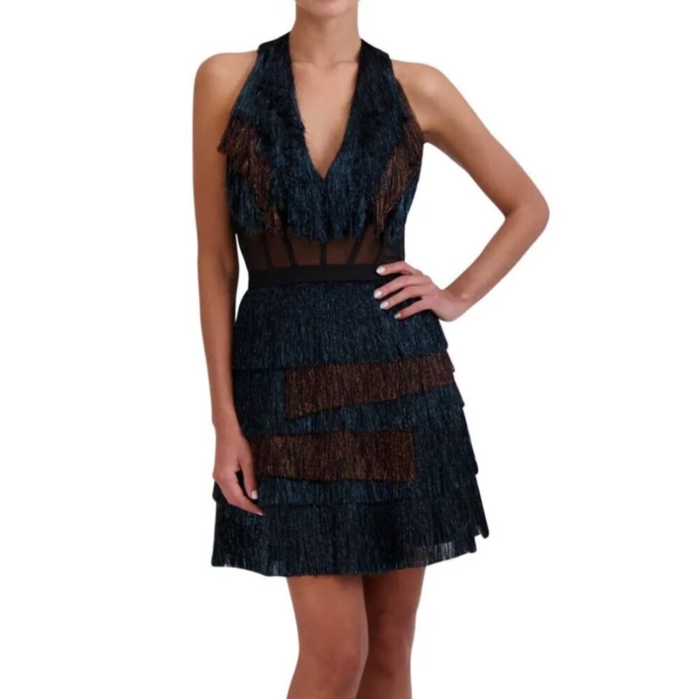 BCBG Fringe Sparkle Corset Brown and Blue Sparkle Salsa Dress Size 4.